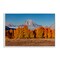 Stupell Industries Autumn Tree Line With Mountain Framed Giclee, design by Shelley Carlisle
